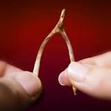 are-you-supposed-to-keep-the-wishbone