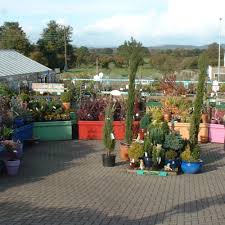 nurseries gardening near a303