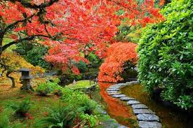 Japanese Garden Plants Awesome