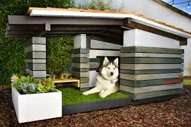 Creative Dog House Designs