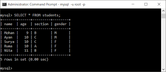 primary key in mysql table