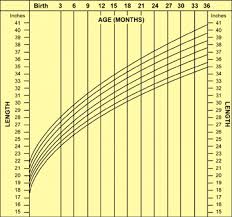 Prototypical Baby Height Chart By Month In Inches Baby