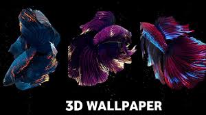 how to get betta fish live wallpapers
