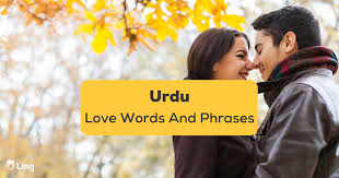 25 urdu love words and phrases an easy