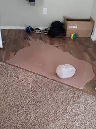 chocolate milk never touched the carpet