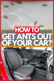 You also need to wipe the surfaces of the vehicle to clean any spills from sweet drinks. How To Get Ants Out Of Your Car