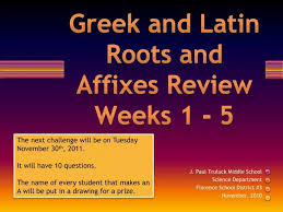 latin roots and affi review