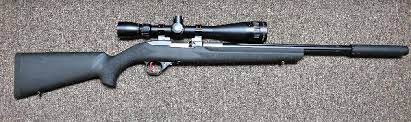 mount a scope to your ruger 10 22