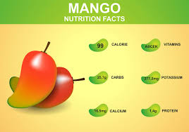 mango nutrition facts 163856 vector art