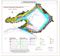 Barrier Reef Image Analysis System Brian Csiropedia