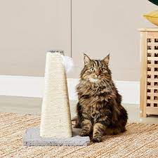 kitten cone shaped scratching post