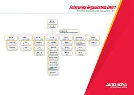 Enterprise Organization Chart China Hoya International