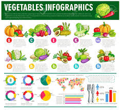 Vegetables Infographics Vector Graph Charts Or Diagrams Of Consumption