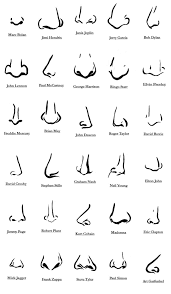 Chart Types Of Noses Female Bedowntowndaytona Com