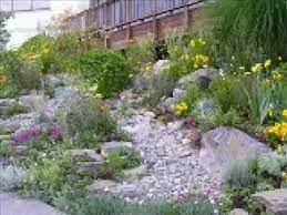 making a dry creek bed garden you