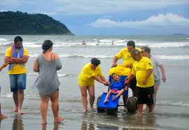 Resultado de imagem para dia nacional de luta pessoa com deficiência + fotos