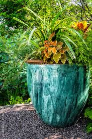 Large Potted Plant In The Garden Pot