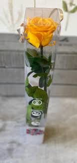Mazzo fiori gambo lungo giallo e bianco. Offerta Rosa Singola Stabilizzata Gialla A Gambo Lungo