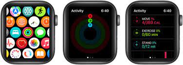 apple watch active vs total calories