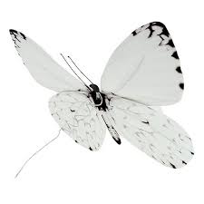 How much is 20 cm into inches? Schmetterling Weiss 20cm Am Draht 2st 83861