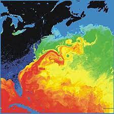 The gulf stream brings warm water from the gulf of mexico all the way up to the norwegian sea. Gulf Stream Wikipedia