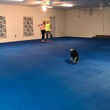 best flooring materials for dog agility