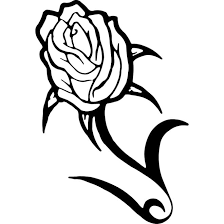 rose flower royalty free stock vector
