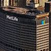 Metlife writes more than $95 billion in premiums per year and holds a 13 percent market share of the life insurance industry. 1