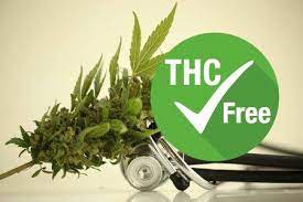 While thc does produce some benefits and also side effects on its own, cbd oil without thc produces unique health benefits. What Is The Best 10 Cbd Without Thc Marijuana Strain No Thc Cbd Oil Free Thc Cheaters Cabaret