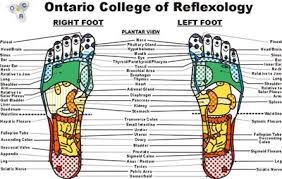 Pocket Foot Reflexology Chart Reflexology Hand