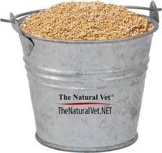 for the health of horses feed oats but