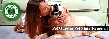 pet odor removal pet urine removal