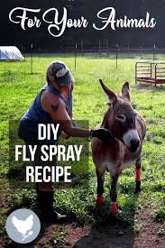 how to make diy fly spray