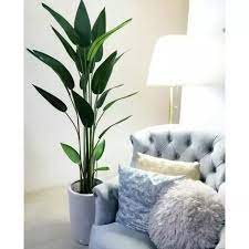 We did not find results for: Home Living Decor Decoration Plastic Tree Plant Flower Pokok Bunga Palsu Tiruan Plastik Hiasan Dalam Rumah Lazada