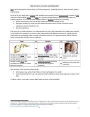 For the reason that you want to provide everything that you need in one real and also reliable source, all of us found useful info on a variety of subject matter in addition to topics. Dna Structure Function Replication Worksheet 1 Dna Structure Function And Replication1 Dna Molecules Contain Our Genes Genes Influence Our Course Hero