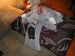 Get set for organiser pushchair at argos. Secret Santa Novelty Cat Armchair Organiser Tv Remote Control Mobile Phone Ebay