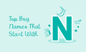 top baby boy names that start with n