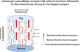 The speed and quality of drying can be hastened by making sure you follow a few guidelines: Anisotropic Nanocellulose Aerogels With Ordered Structures Fabricated By Directional Freeze Drying For Fast Liquid Transport Springerlink