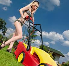 Lawn Care In Cape Coral And Fort Myers Promo Lawn Care