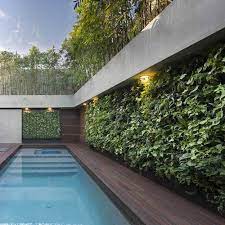 How Much Do Living Walls Cost Living