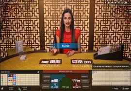 Image result for rajapoker casino game