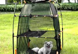 Cat Tent Tower Grabone Nz