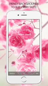Rose Wallpapers Backgrounds