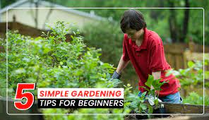 5 Simple Gardening Tips For Beginners