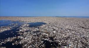 There is no visible plastic island, or garbage patch in the ocean. The Great Pacific Garbage Patch George Rothert