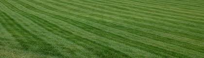 Your guide to trusted bbb ratings, customer reviews and bbb accredited businesses. How Much For Commercial Lawn Care