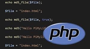 generating an md5 hash in php pi my