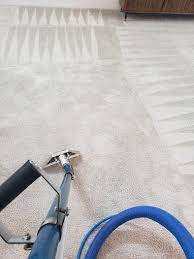 carpet cleaning service rise floor