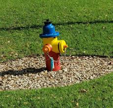 fire hydrant colors mean