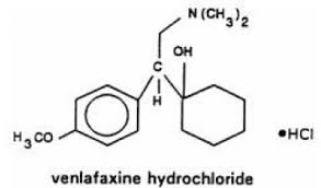 Effexor Xr Venlafaxine Hydrochloride Extended Release